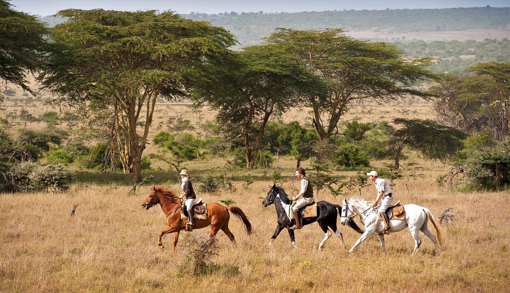 Sirai House Borana Kenya