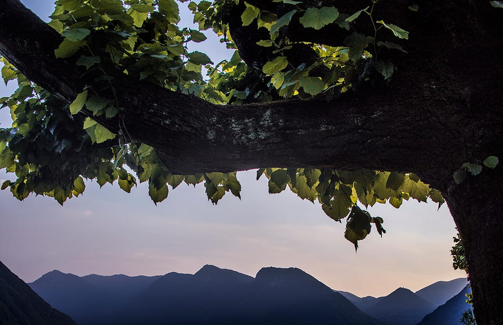 Villa Balbiano Estate Lake Como Italy