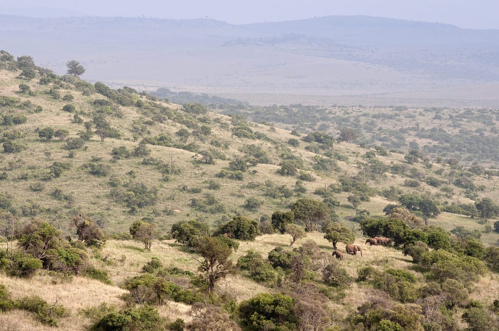 Sirai House Borana Kenya