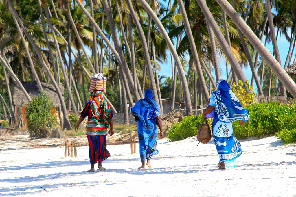 Thanda Private Island Tanzania Ultra Villa Rental
