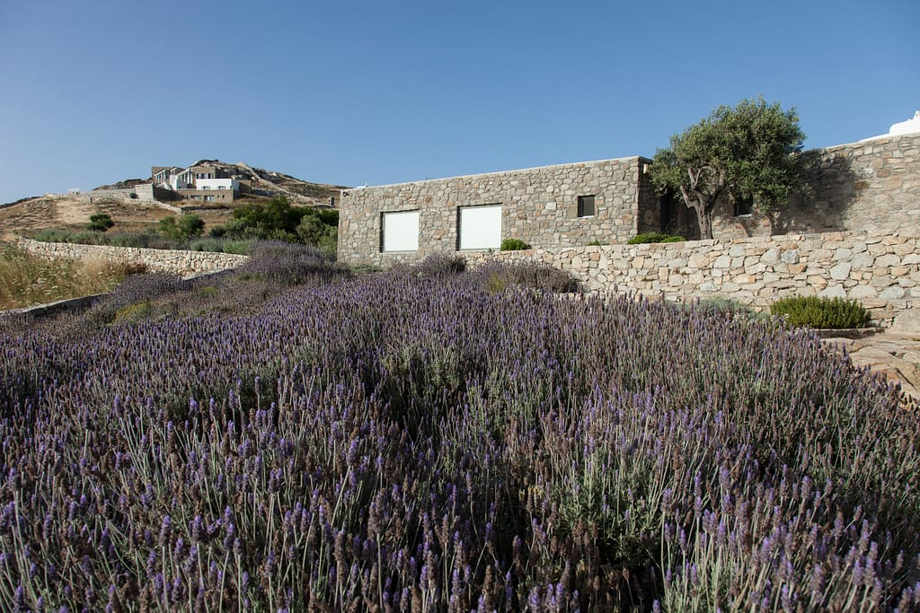 Mykonos Luxury Villa Rental