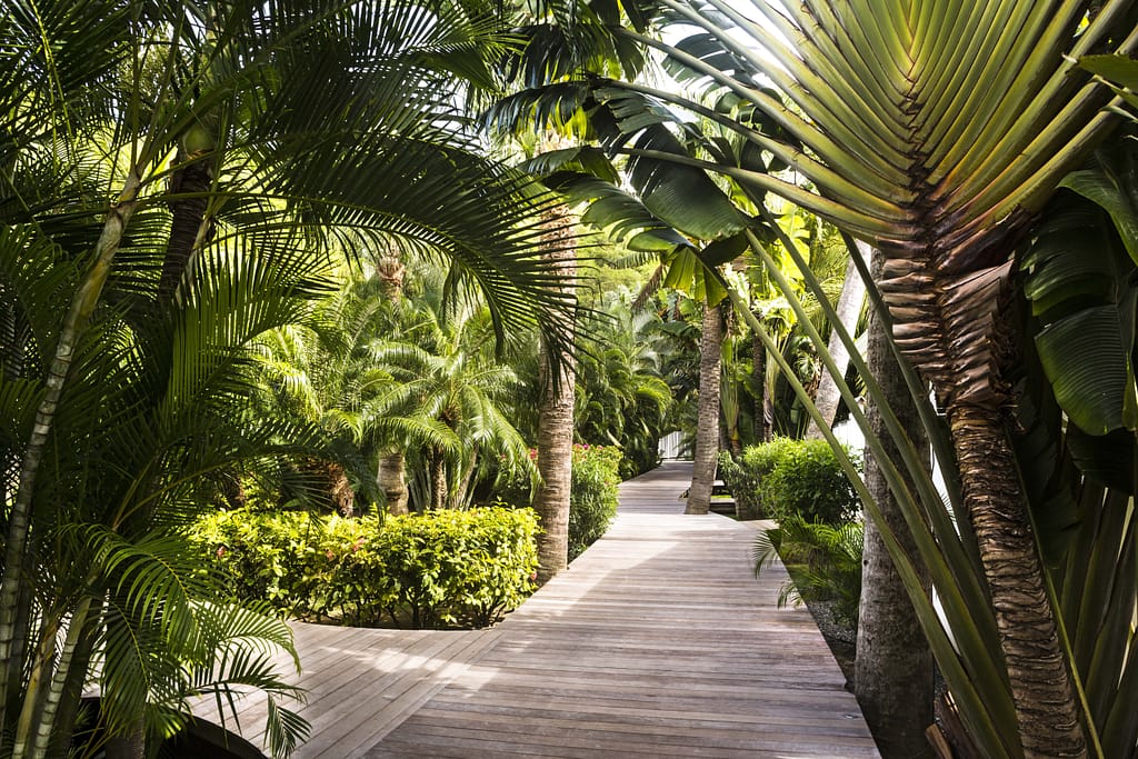 Cheval Blanc St Barths Flamands Villa