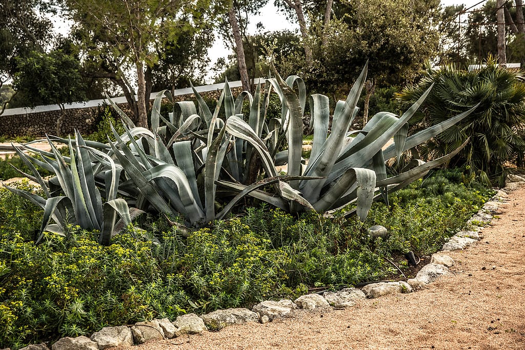 Es Bec d Agila Luxury Villa Rental Menorca