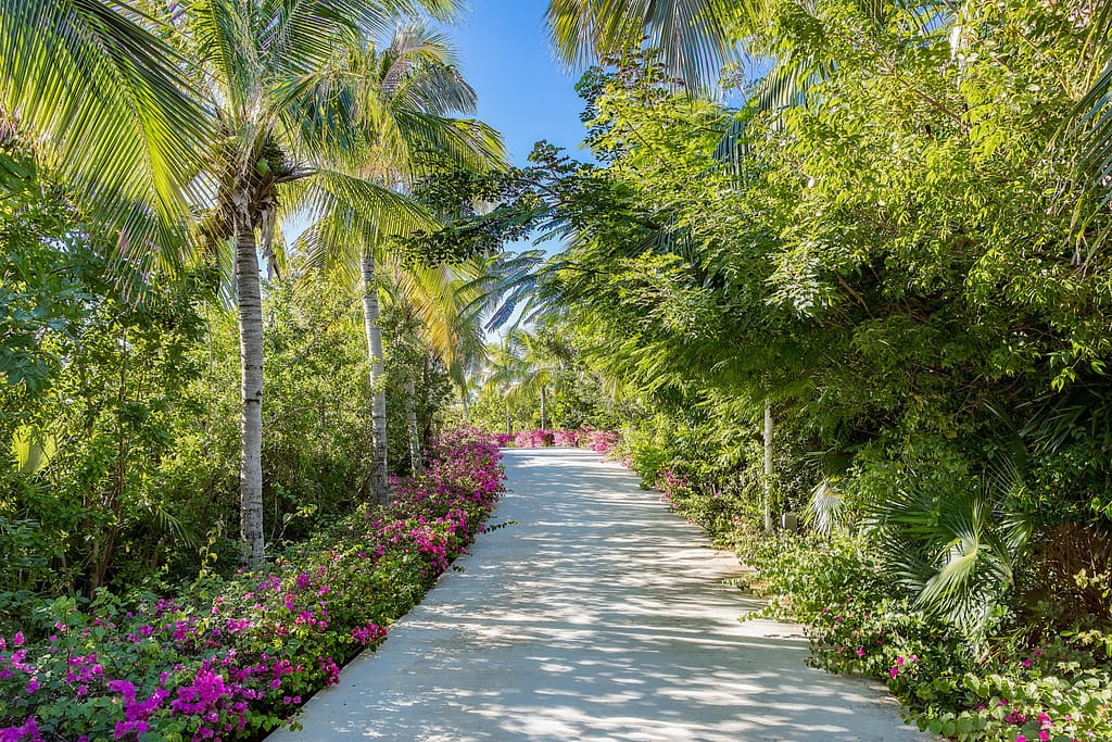 Pearls of Long Bay Ultra Luxury Vacation Rental