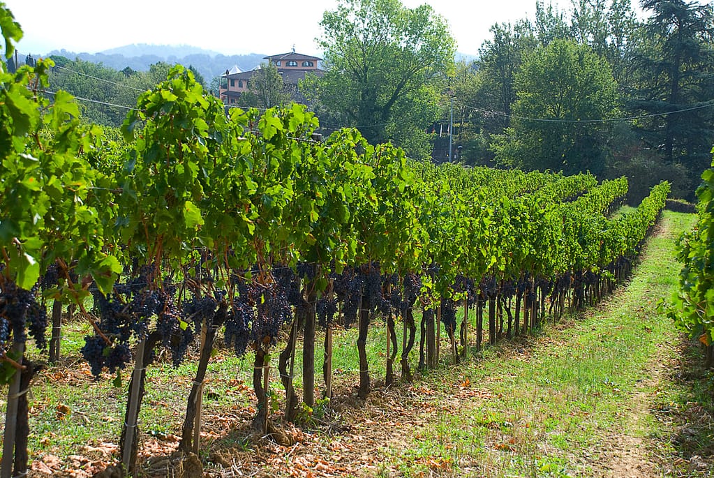 Il Palagio Sting's Tuscany Estate