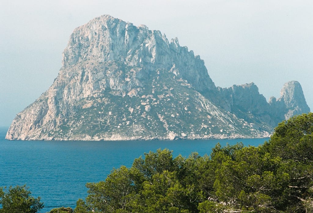 Petunia Hotel Ibiza