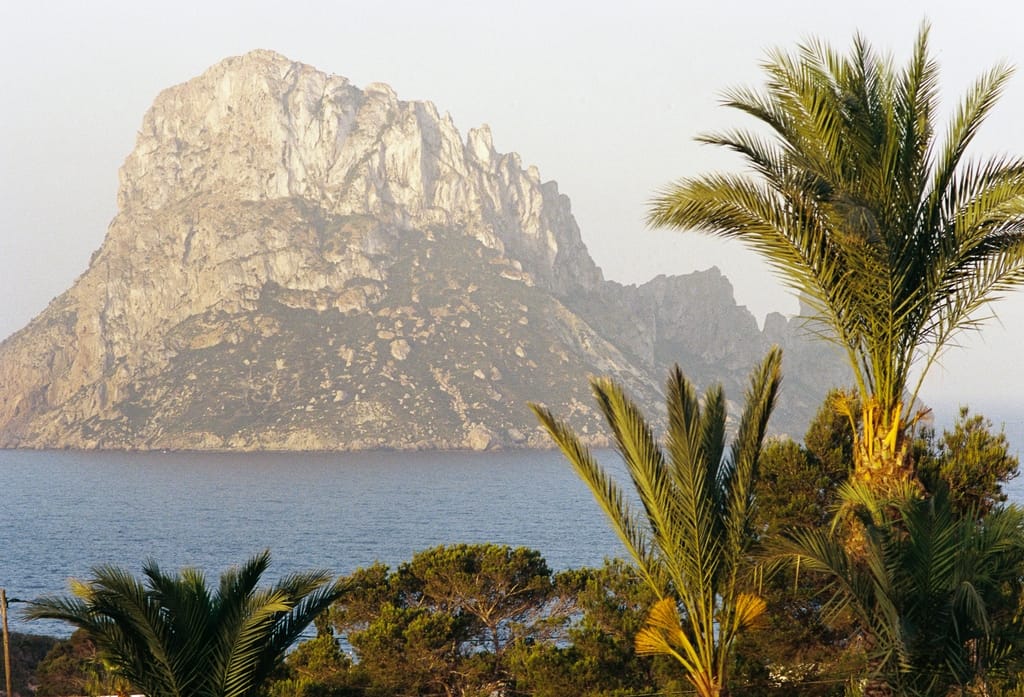 Petunia Hotel Ibiza