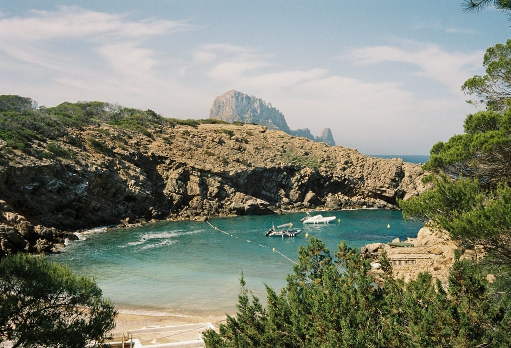Petunia Hotel Ibiza