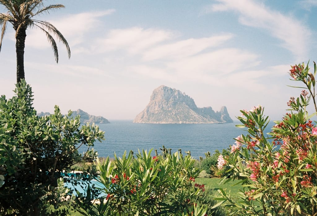Petunia Hotel Ibiza