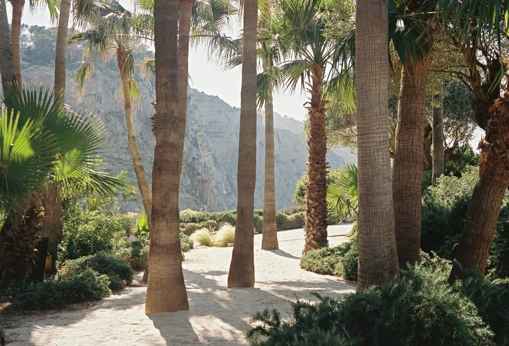 Ibiza Luxury Villas