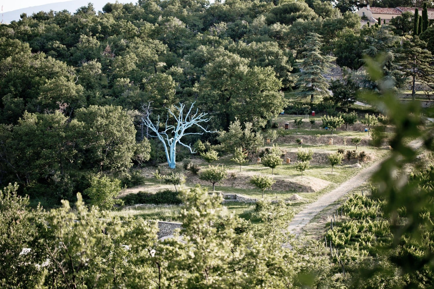 La Verriere Villa Rental Provence France