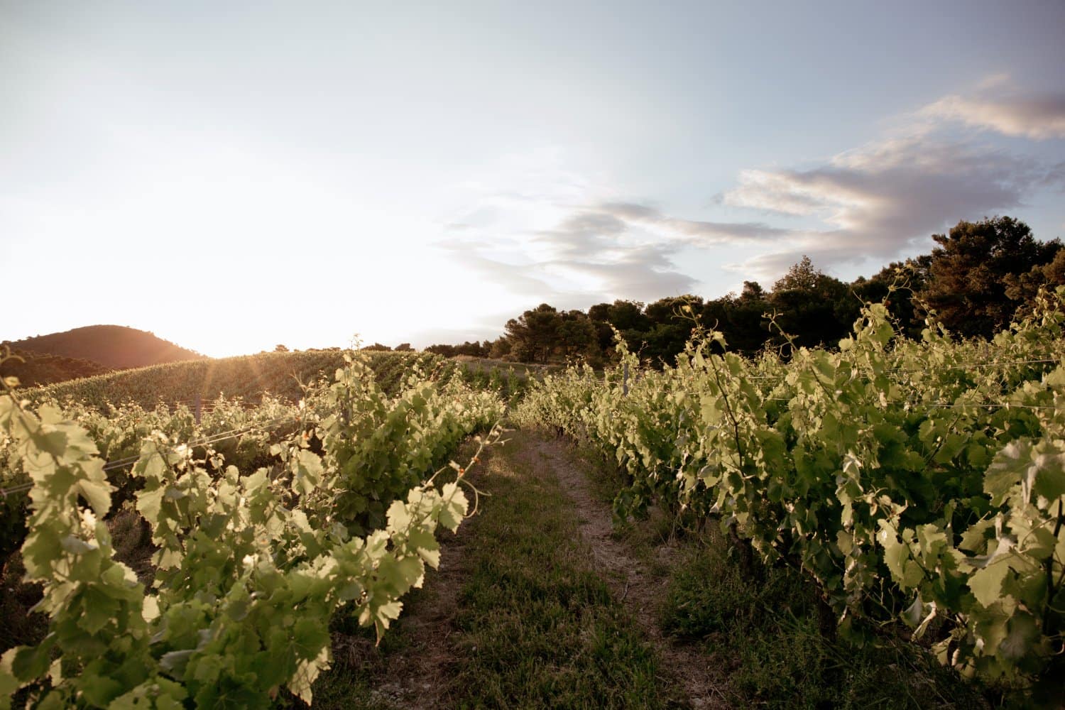 La Verriere Villa Rental Provence France