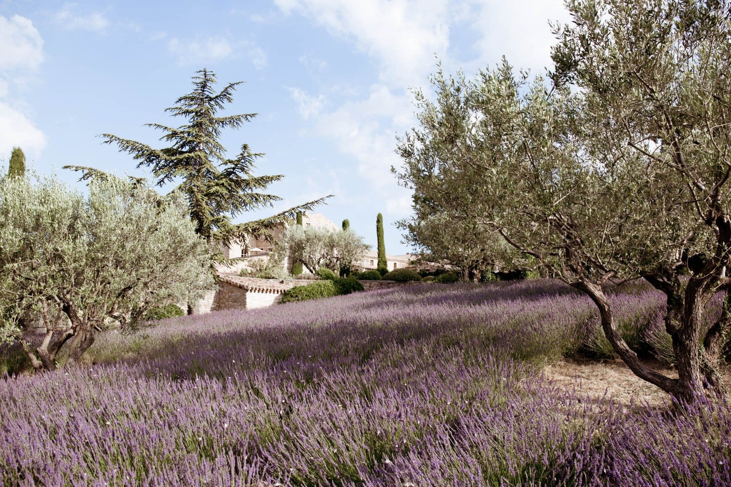 La Verriere Villa Rental Provence France