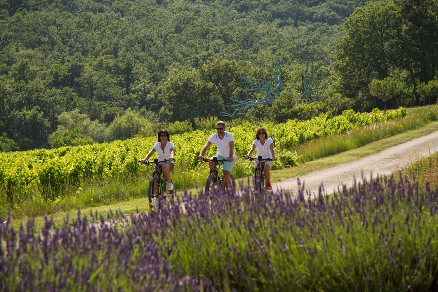 La Verriere Villa Rental Provence France