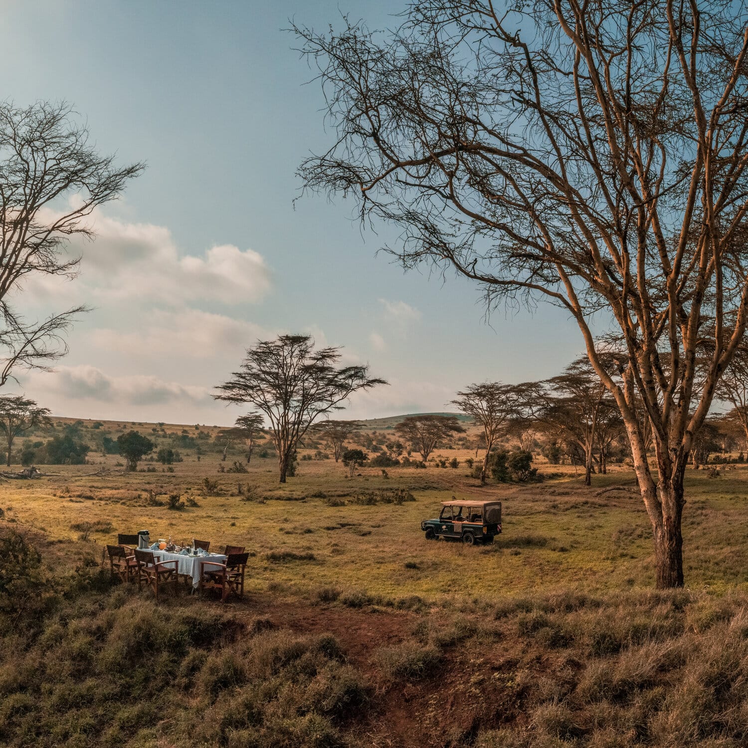 Kenya Safari