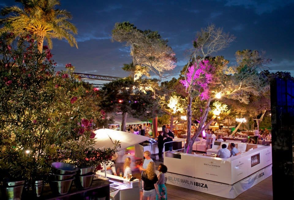 blue marlin ibiza