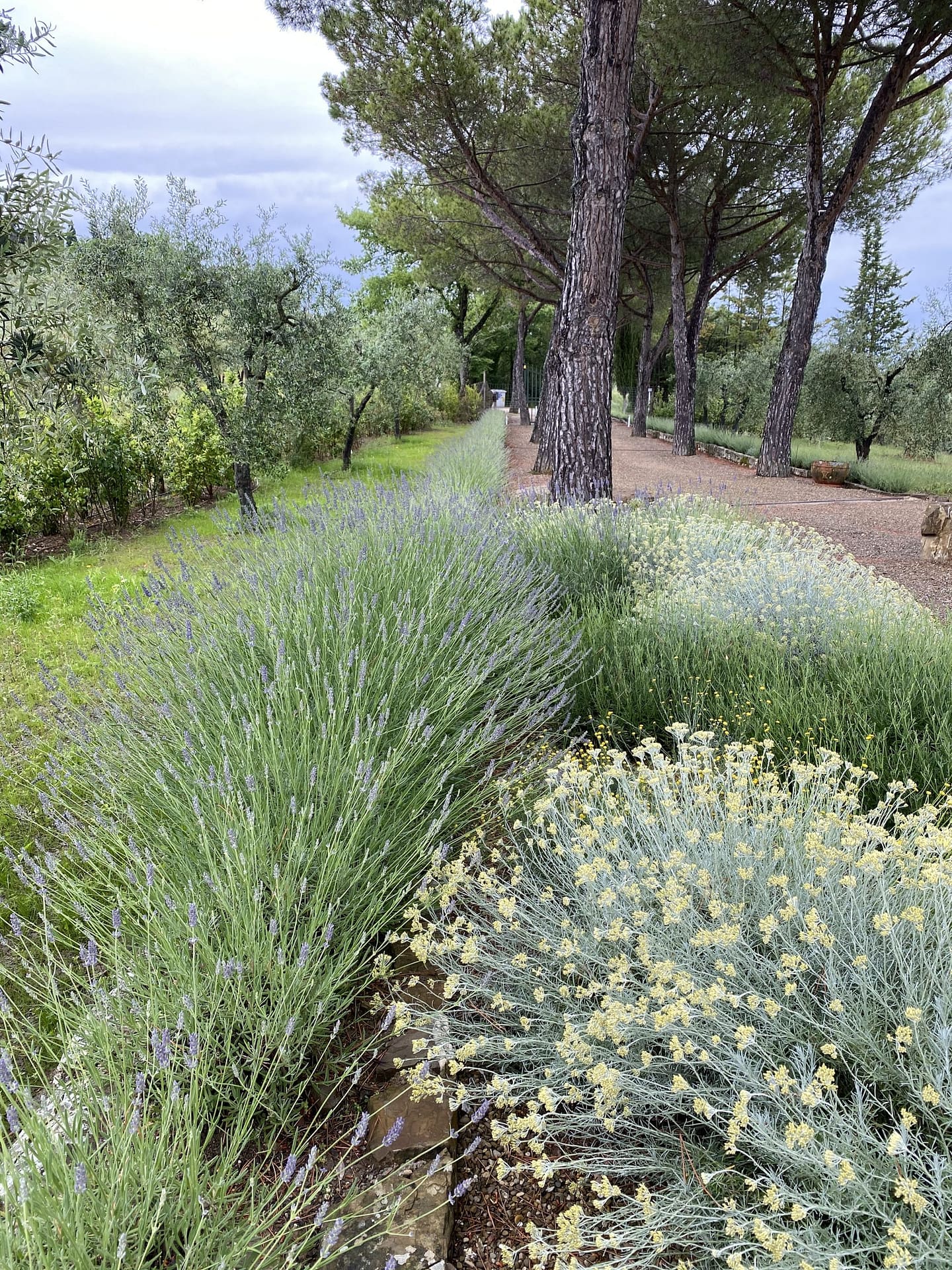 Villa Le Masse Tuscany Italy