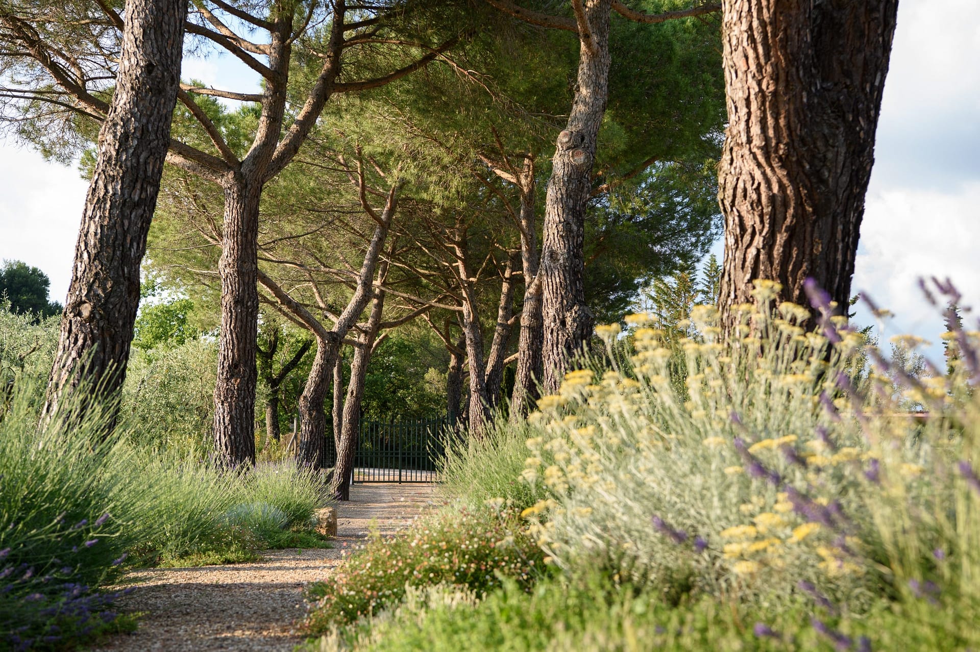 Luxury villa for rent in Tuscany Italy