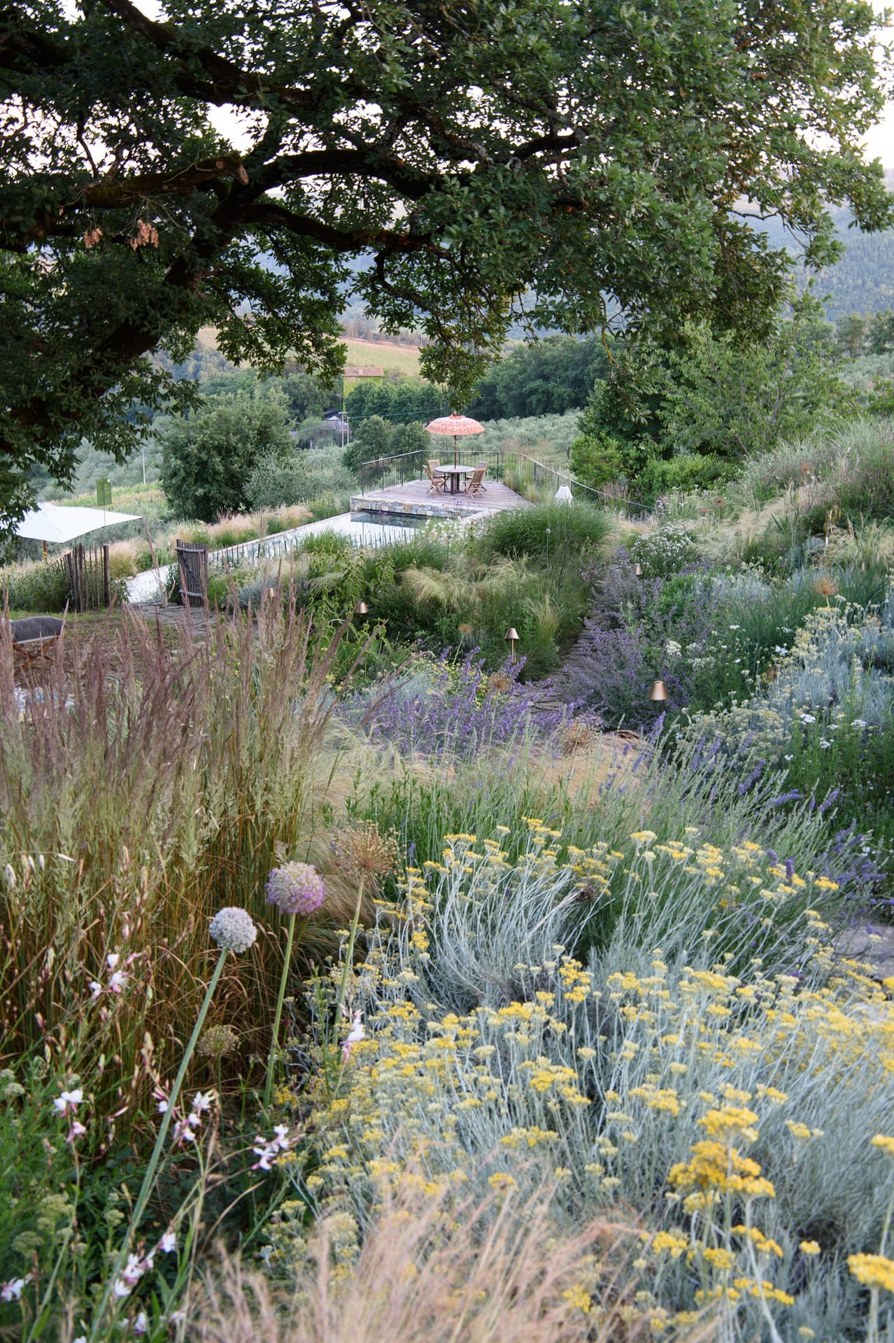Luxury villa for rent in Tuscany Italy