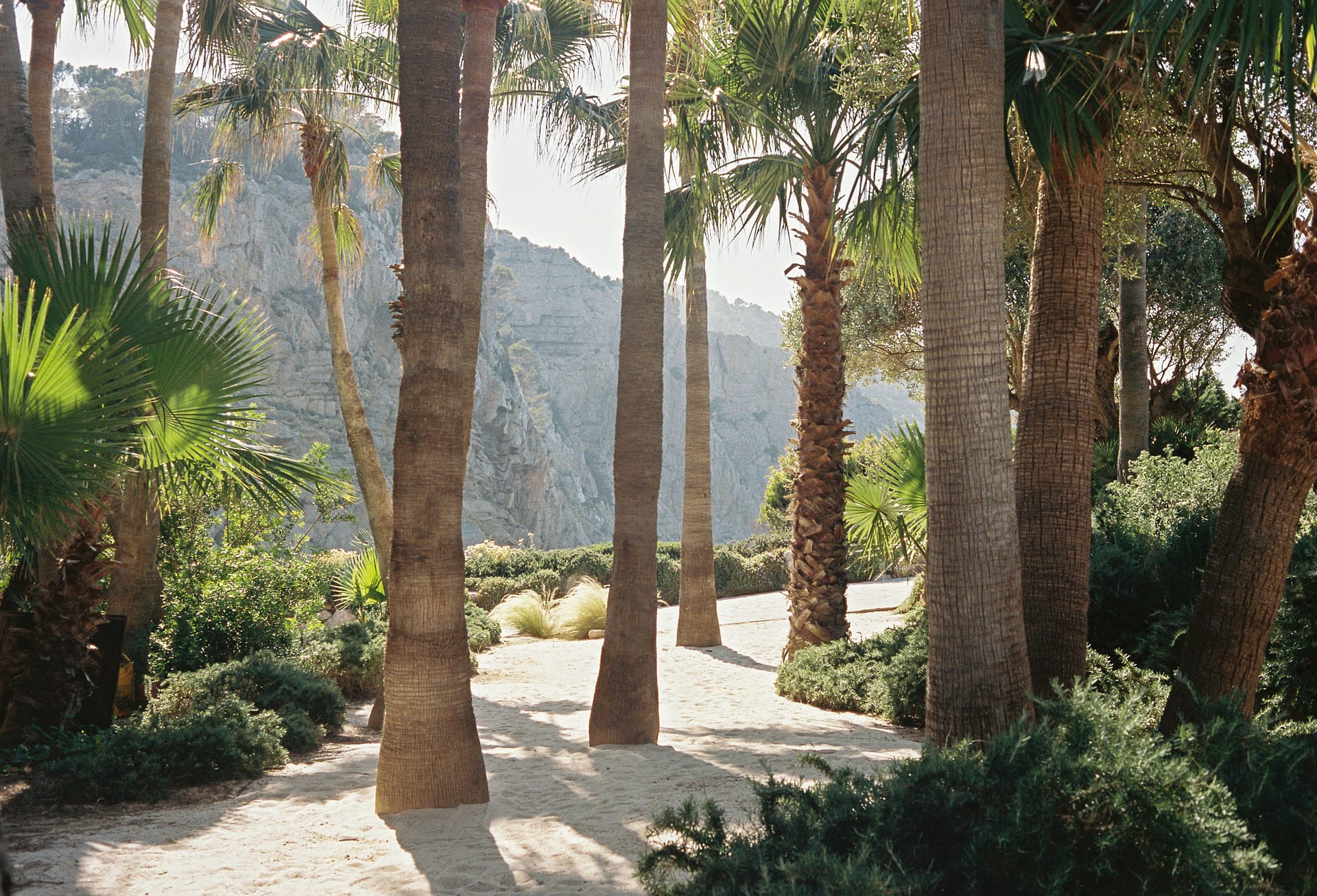 Ibiza Luxury Villas