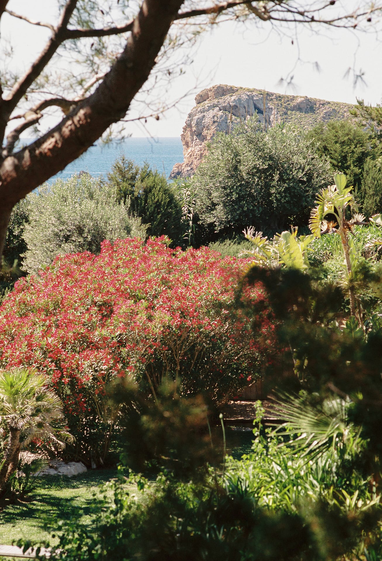 Private Island Estate Ibiza Luxury Rental
